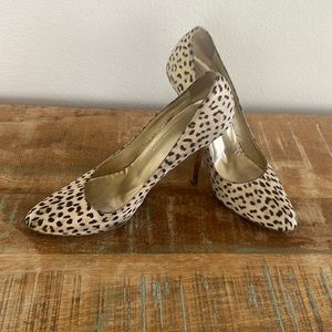 Roberto Cavalli leopard print heels.